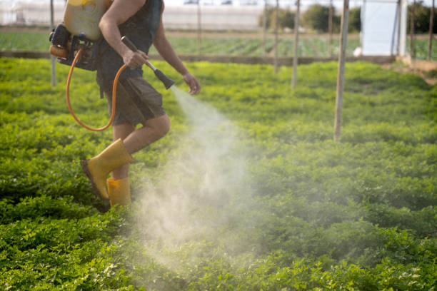 Best Pest Control Treatment  in Vandenberg Village, CA